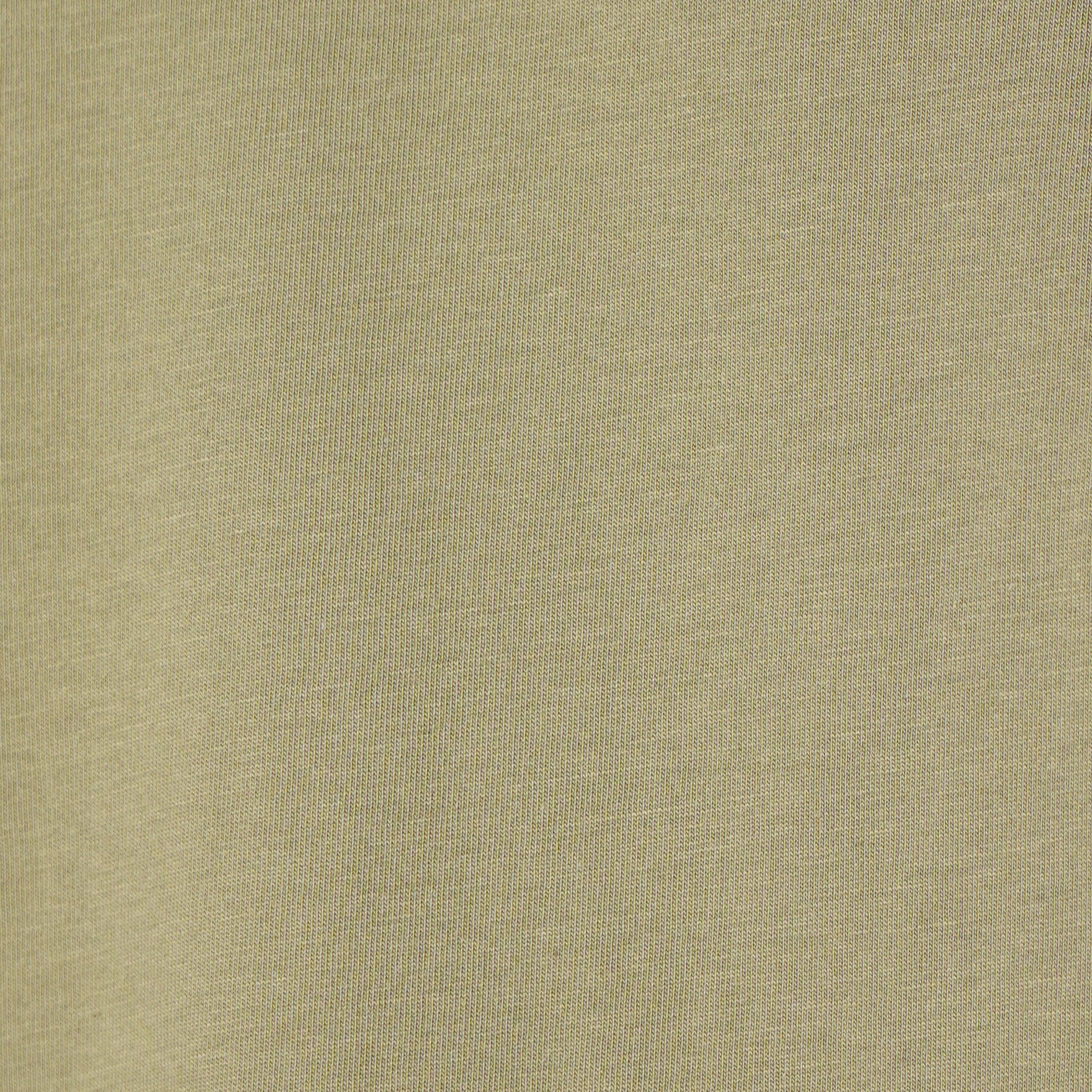 Regular Fit Solid T-Shirt