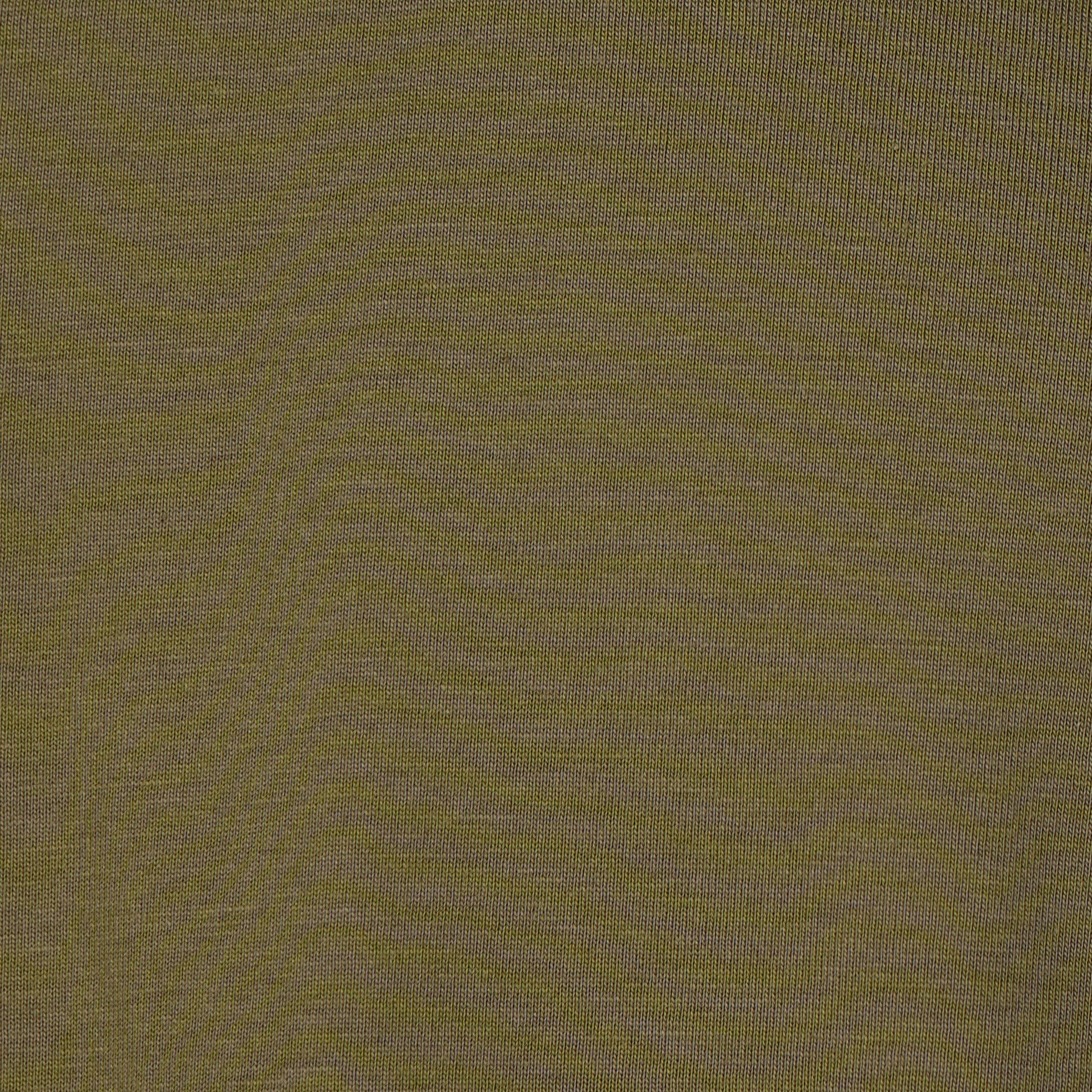 Regular Fit Solid T-Shirt