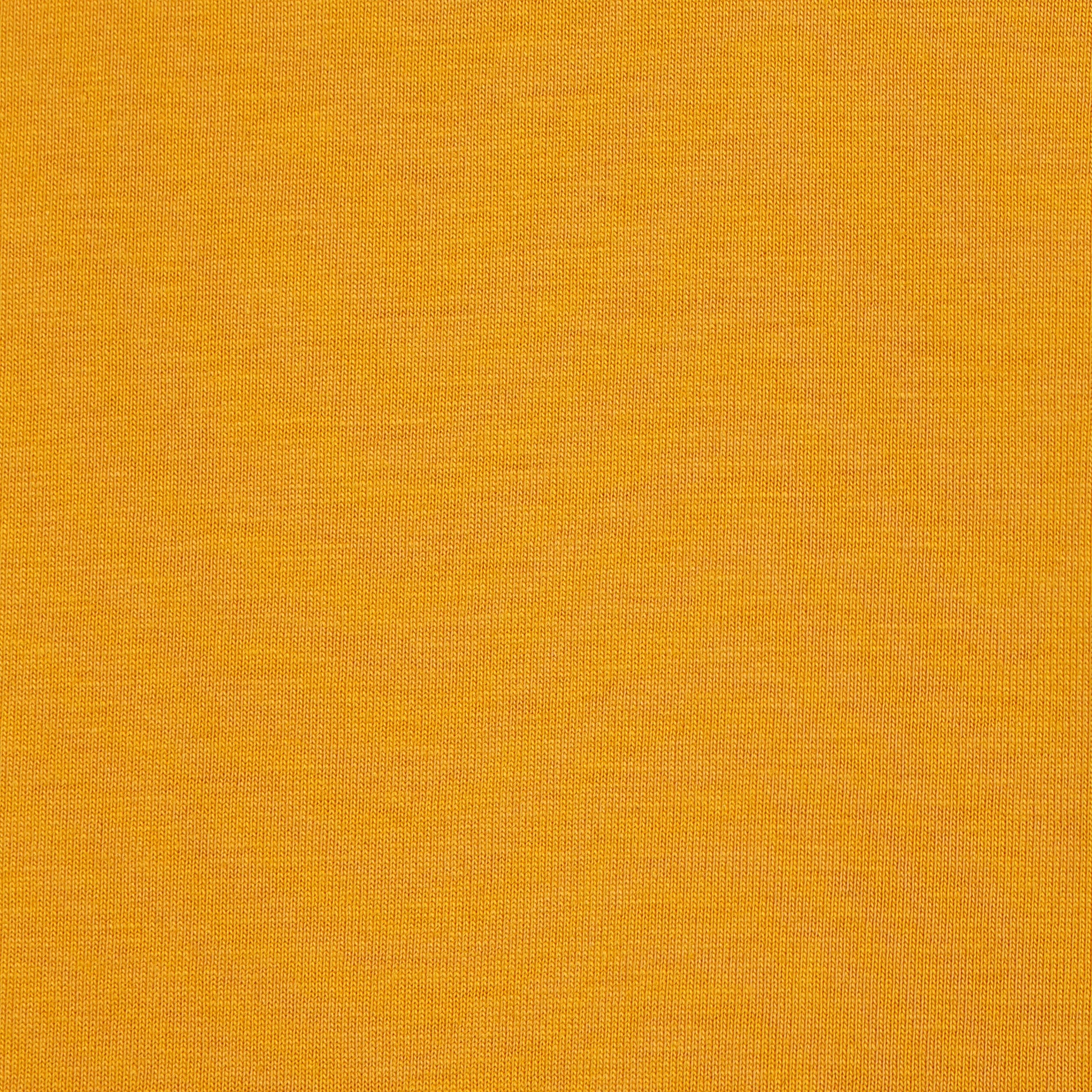Regular Fit Solid T-Shirt