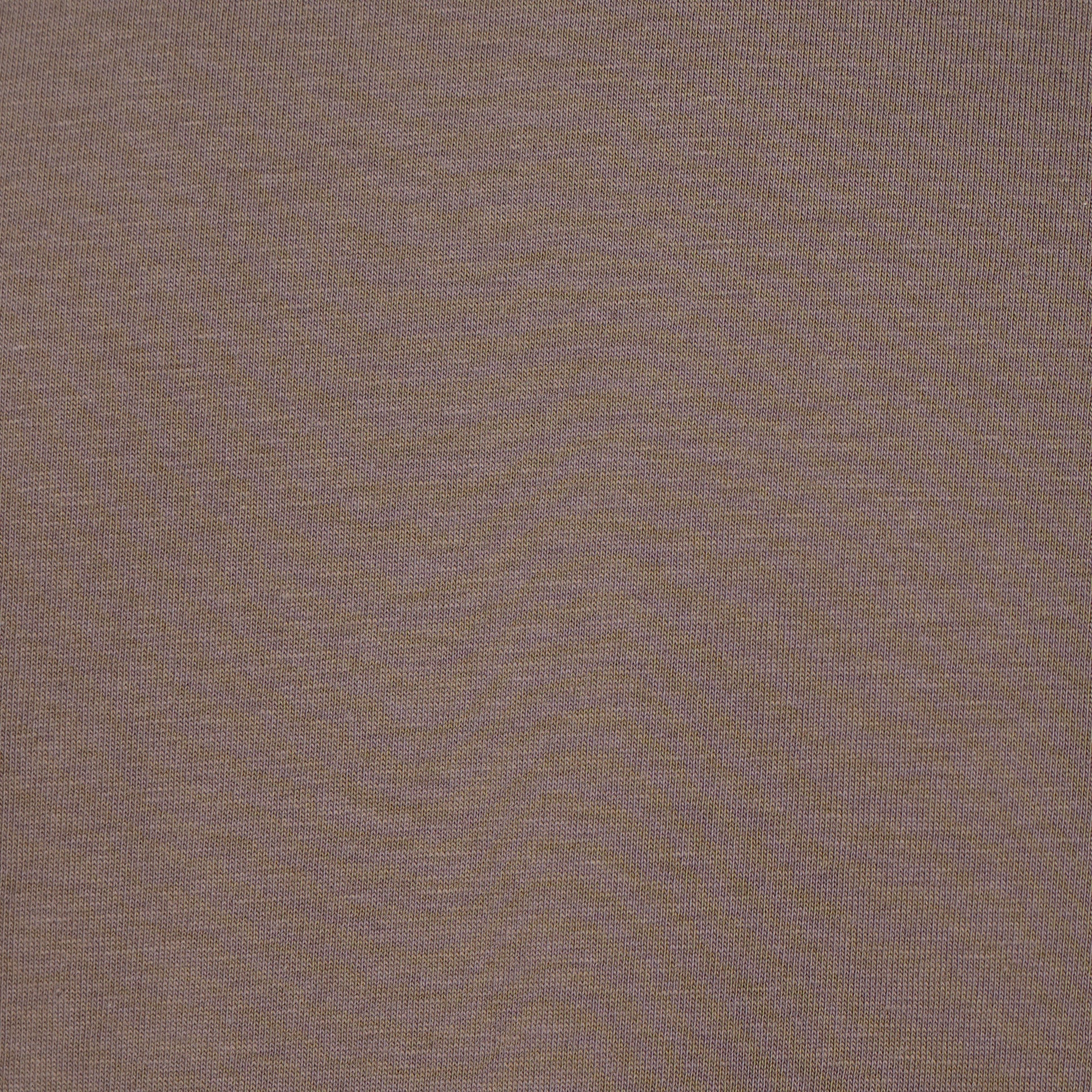 Regular Fit Solid T-Shirt