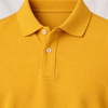 Regular Fit Solid Polo T-Shirt
