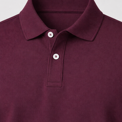 Regular Fit Solid Polo T-Shirt