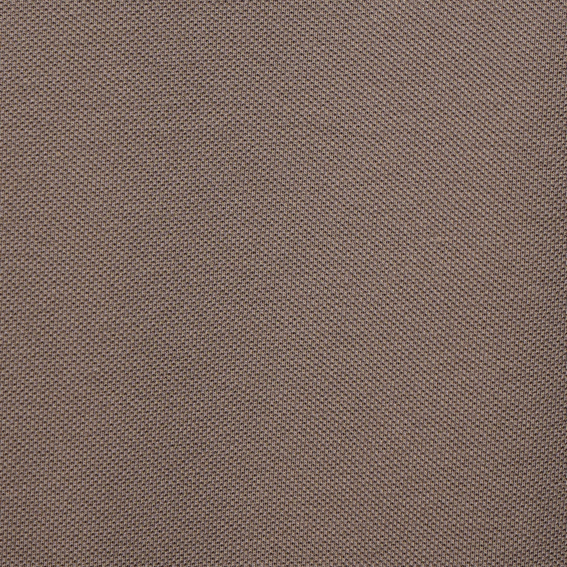Regular Fit Solid Polo T-Shirt