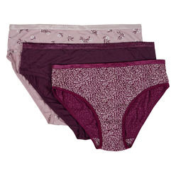 Cotton Printed High Leg Panties - Pack of 3