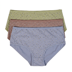 Printed Full Brief Panties - Pack of 3