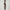 Woven Mid Rise Solid Shorts