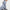 Performance Jacket – Airdry® – Women’s High Neck Training Jacket
