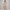 Cotton Embroidered Flared Dress