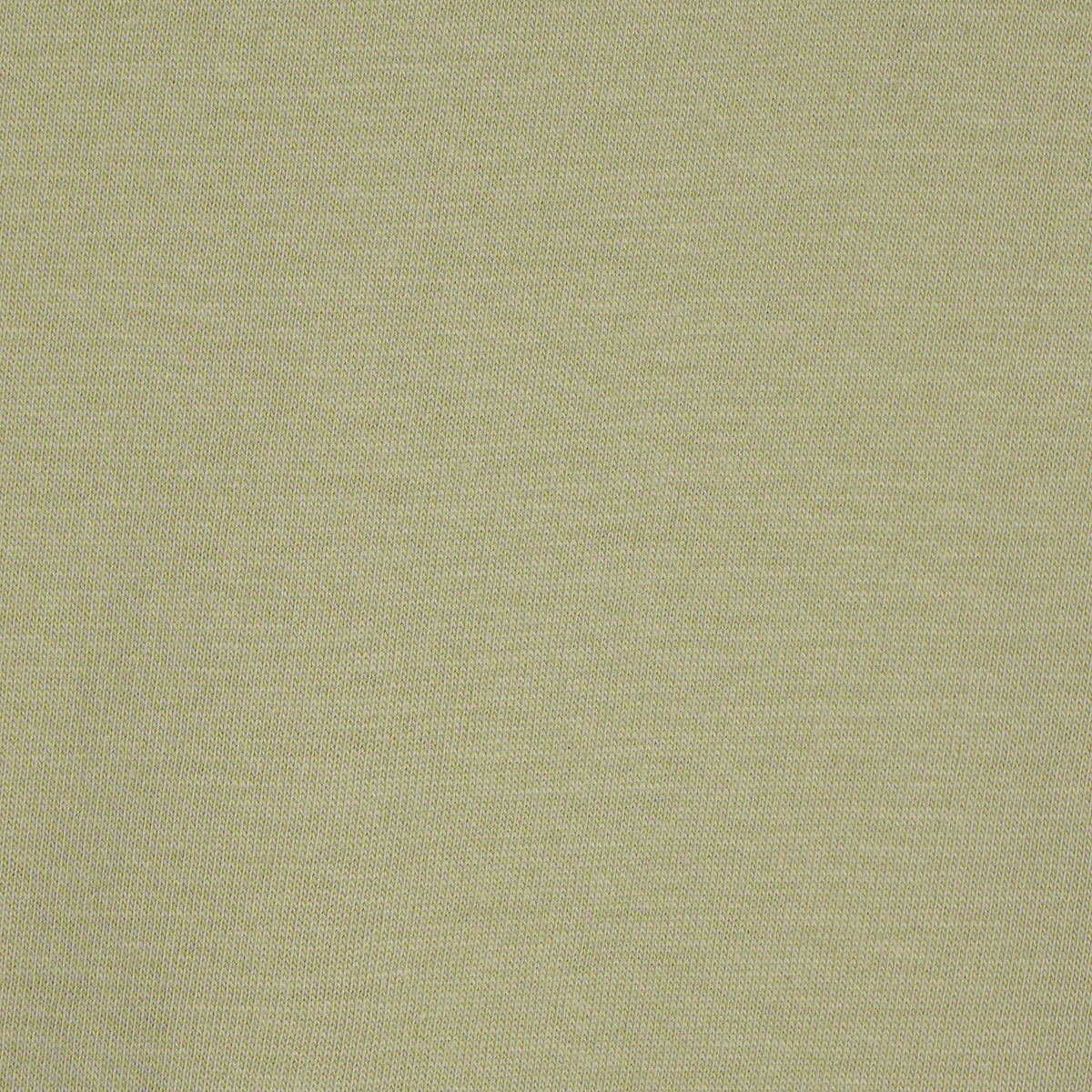 Cotton Graphic Regular T-Shirt