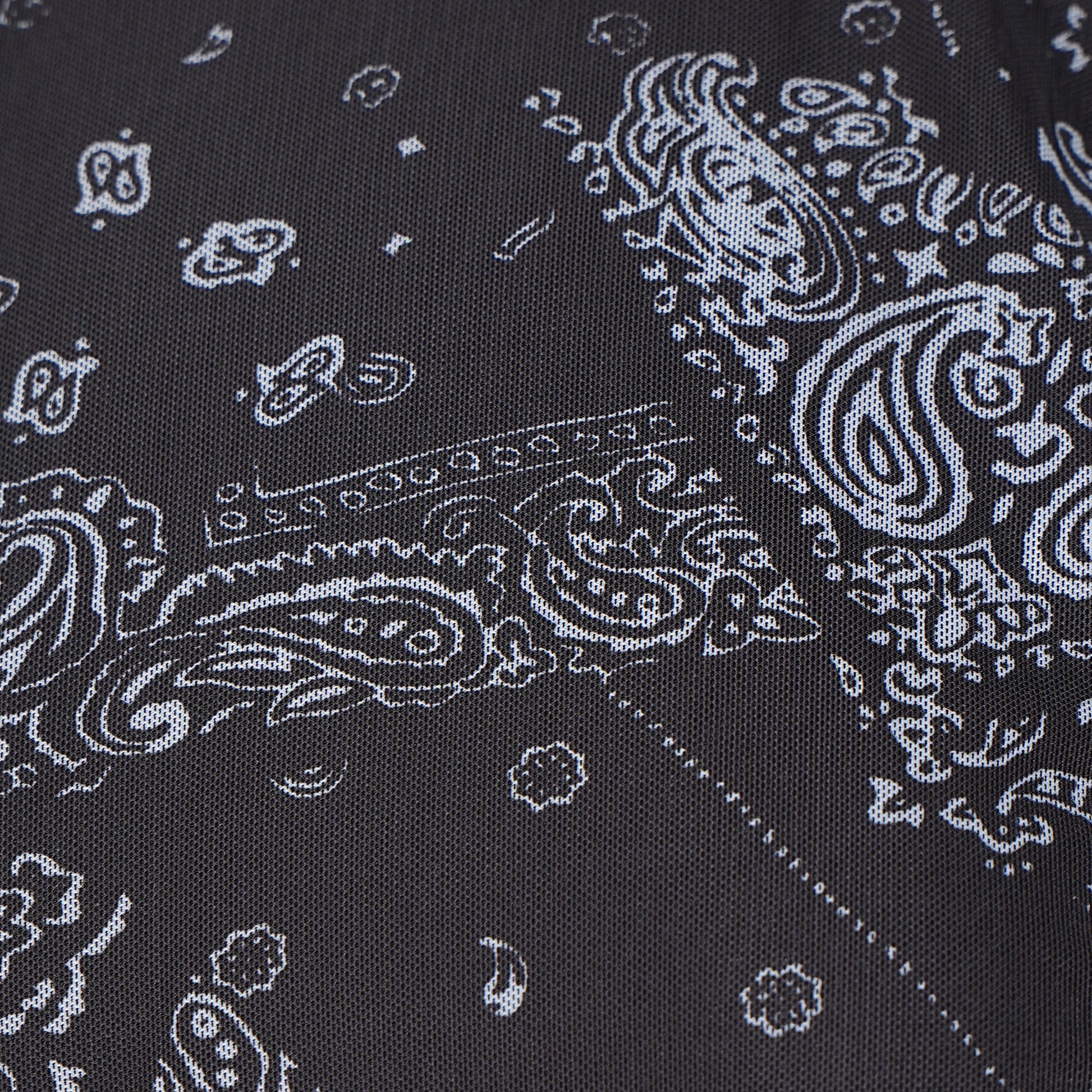 Printed Flared Dress