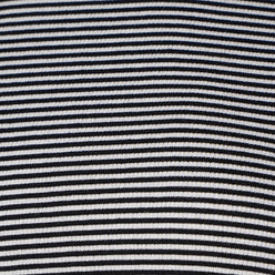 Striped Slim Fit Crop T-Shirt