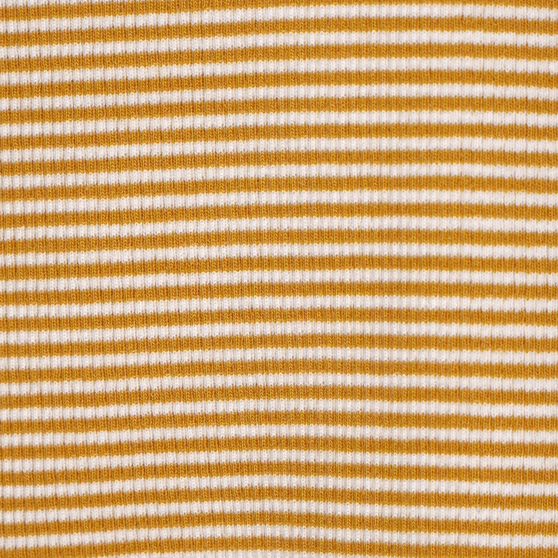 Striped Slim Fit Crop T-Shirt