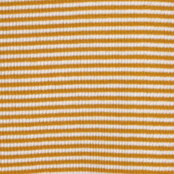 Striped Slim Fit Crop T-Shirt