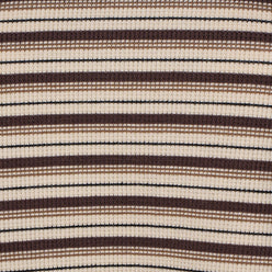 Striped Slim Fit Crop T-Shirt