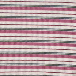 Striped Slim Fit Crop T-Shirt
