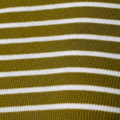 Striped Slim Fit Cropped T-Shirt