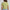 Knitted Solid Crop T-Shirt