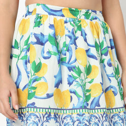 Printed Flared High Rise Skirt