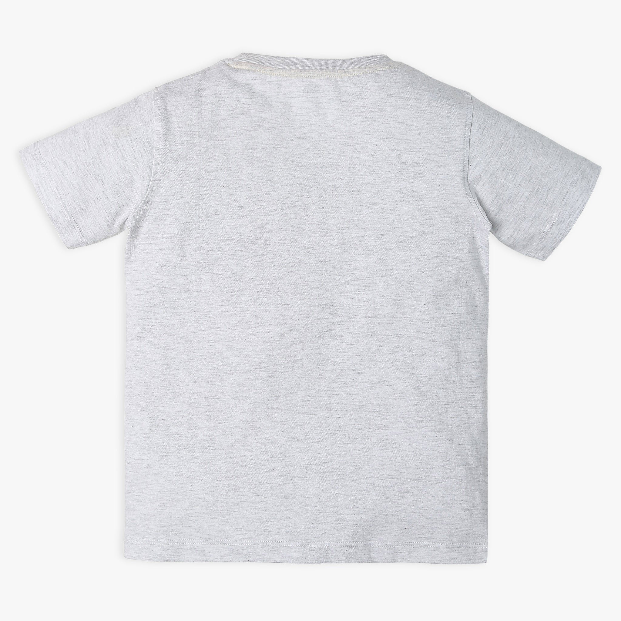 Boy Wearing Boy's Regular Fit Printed T-Shirt