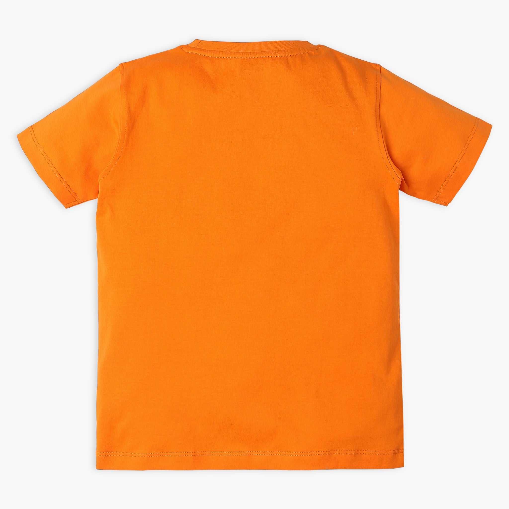Boy Wearing Boy's Regular Fit Printed T-Shirt