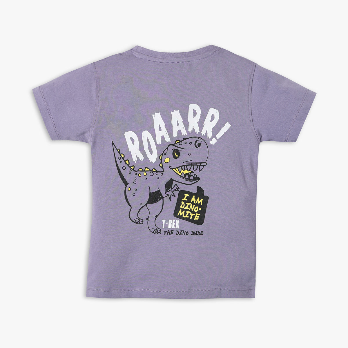 Boy's Regular Fit Printed T-Shirt