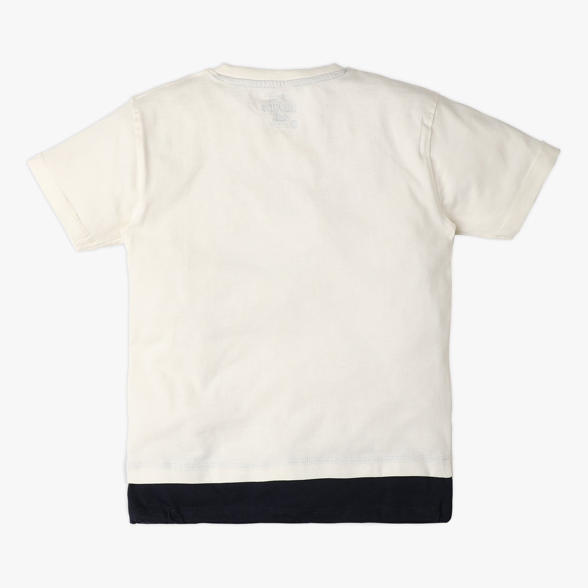 Boys Regular Fit Printed T-Shirt