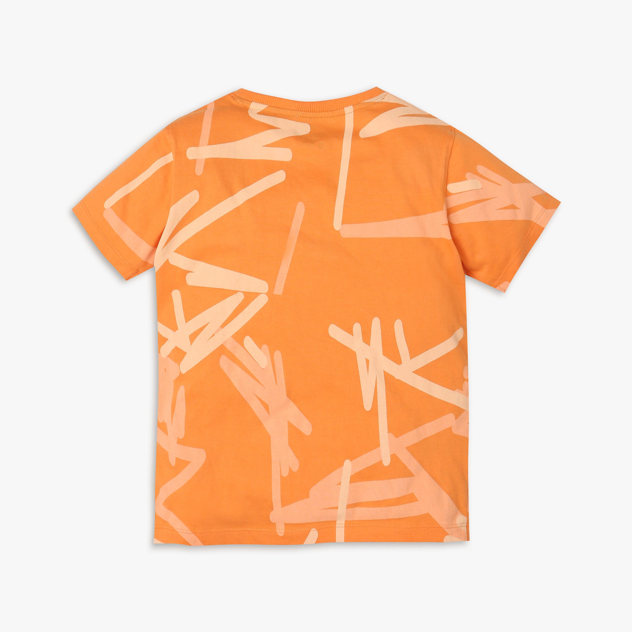 Boys Regular Fit Printed T-Shirt