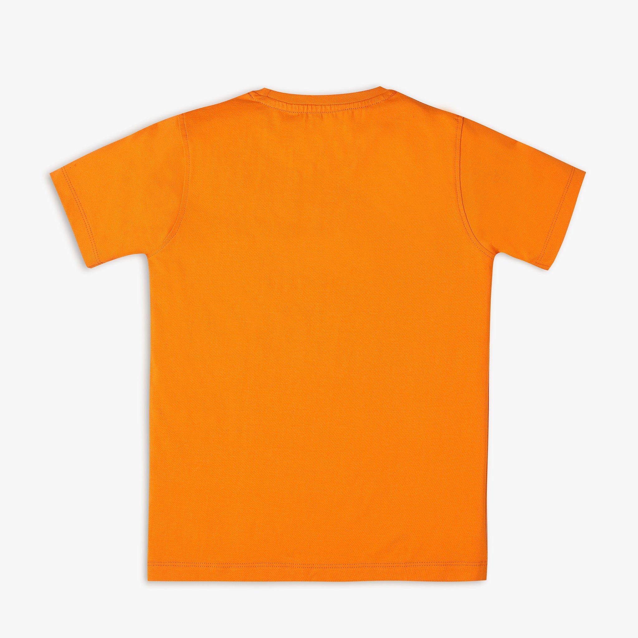 Boy Wearing Boy's Regular Fit Graphic T-Shirt