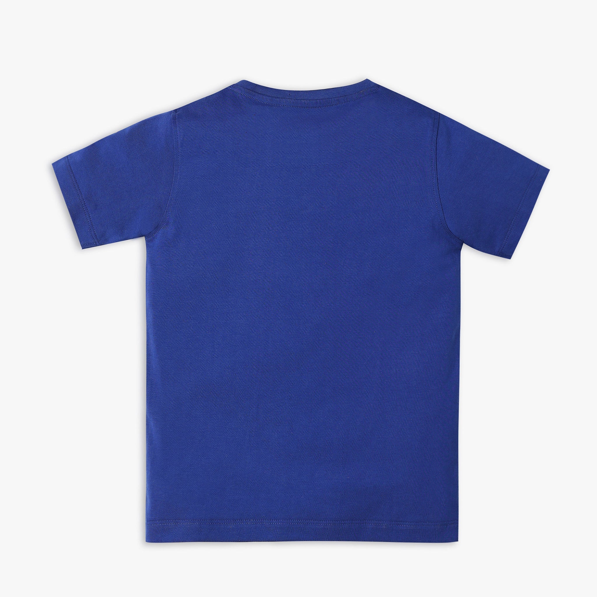 Boy Wearing Boy's Regular Fit Graphic T-Shirt