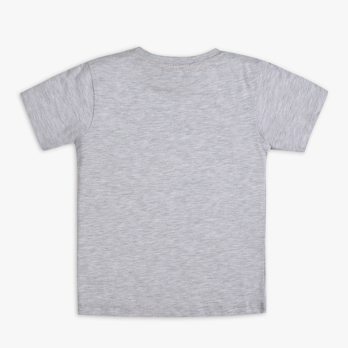 Boy Wearing Boy's Regular Fit Graphic T-Shirt