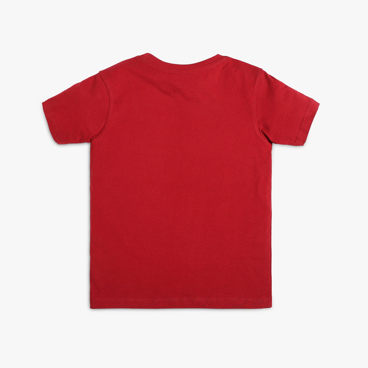 Boy Wearing Boy's Regular Fit Graphic T-Shirt