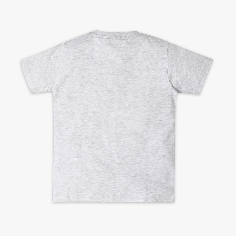 Boy's Regular Fit Graphic T-Shirt