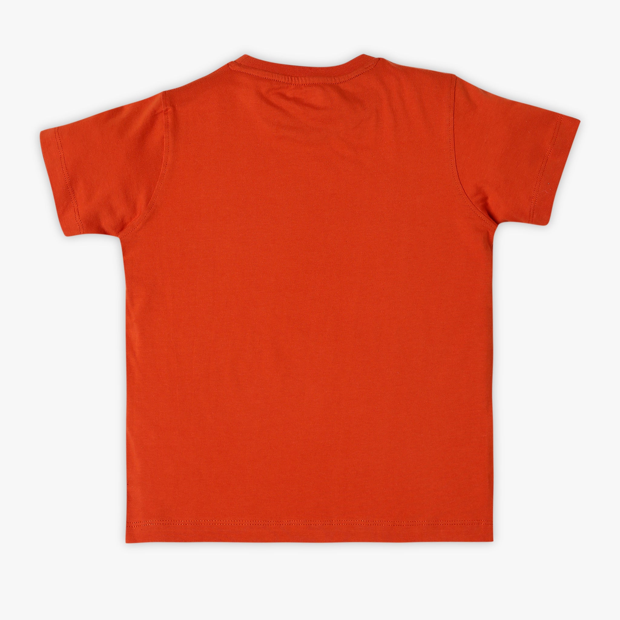 Boy's Regular Fit Graphic T-Shirt
