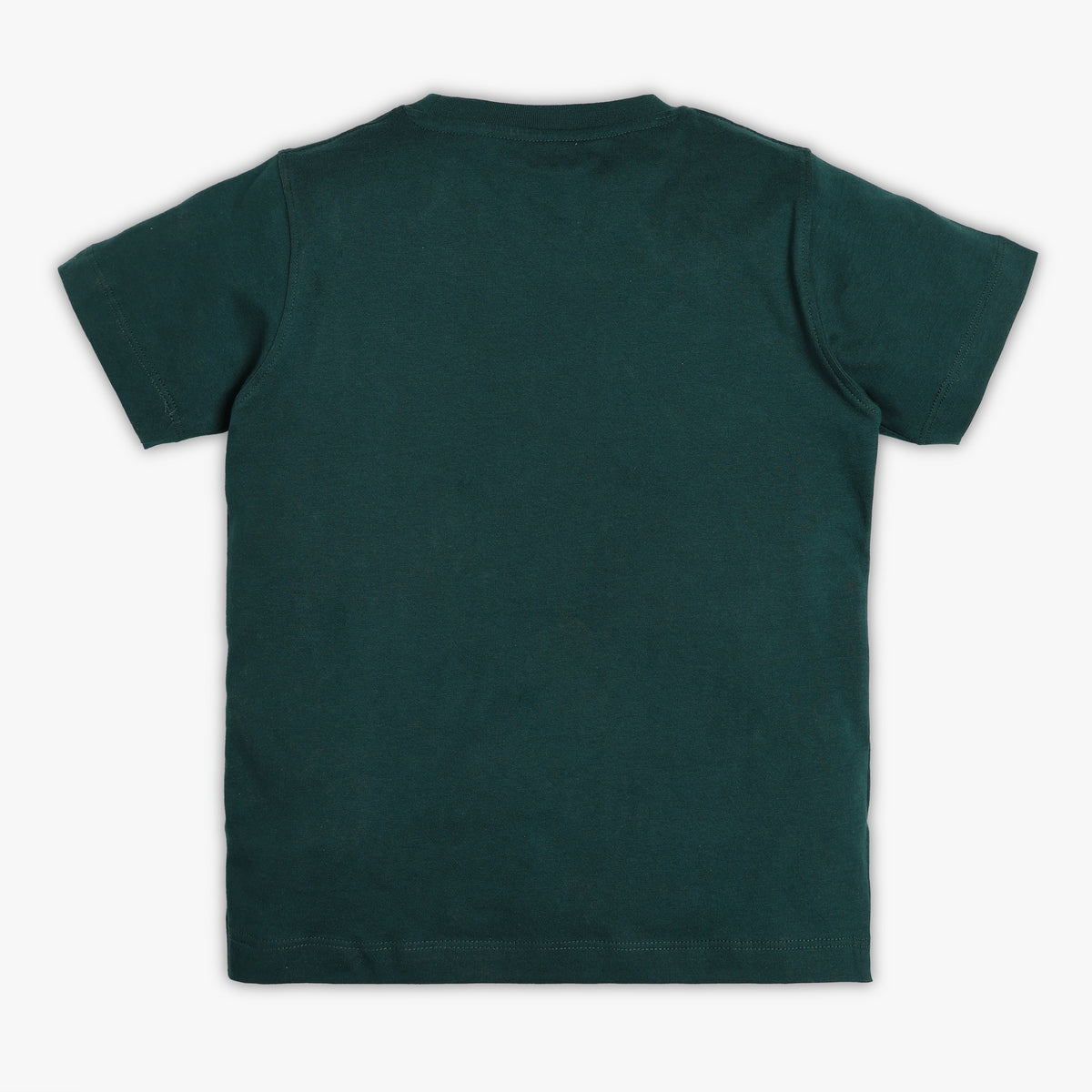 Boys Regular Fit Graphic T-Shirt