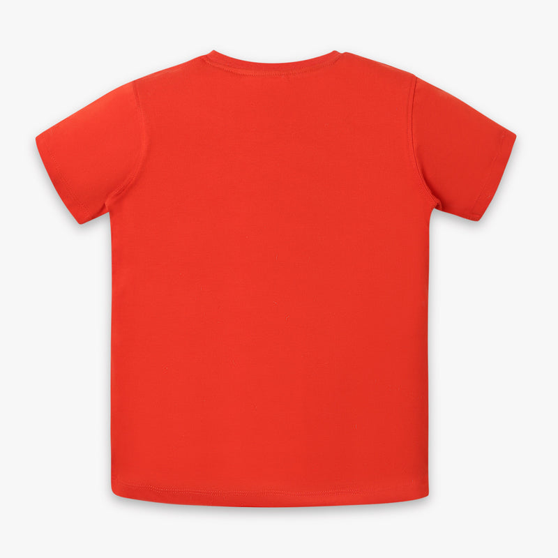 Boys Regular Fit Graphic T-Shirt