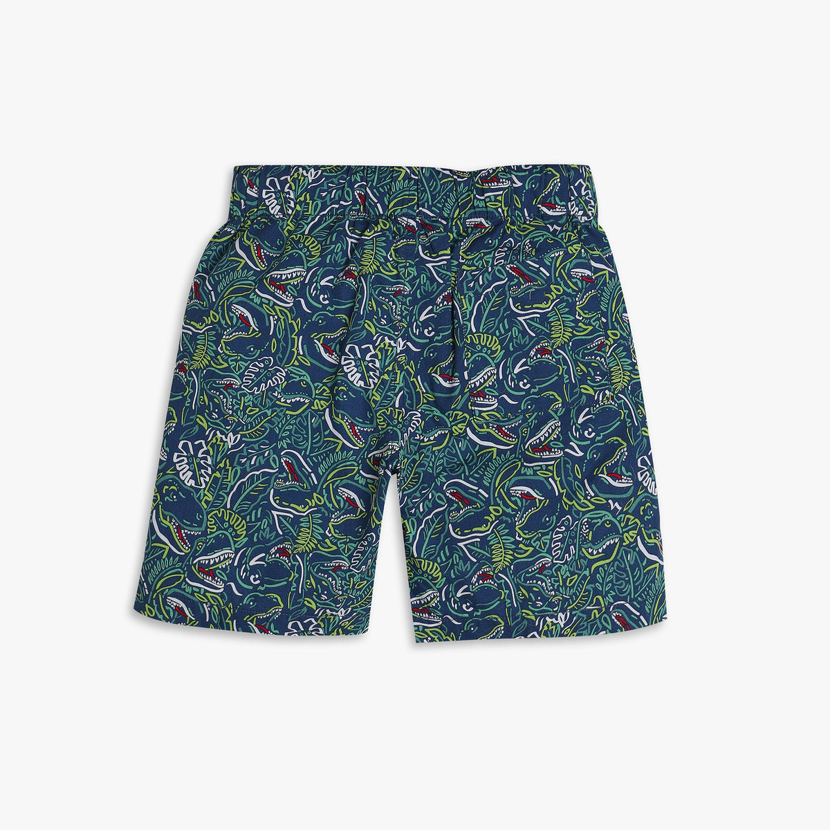 Boys Regular Fit Printed Mid Rise Shorts