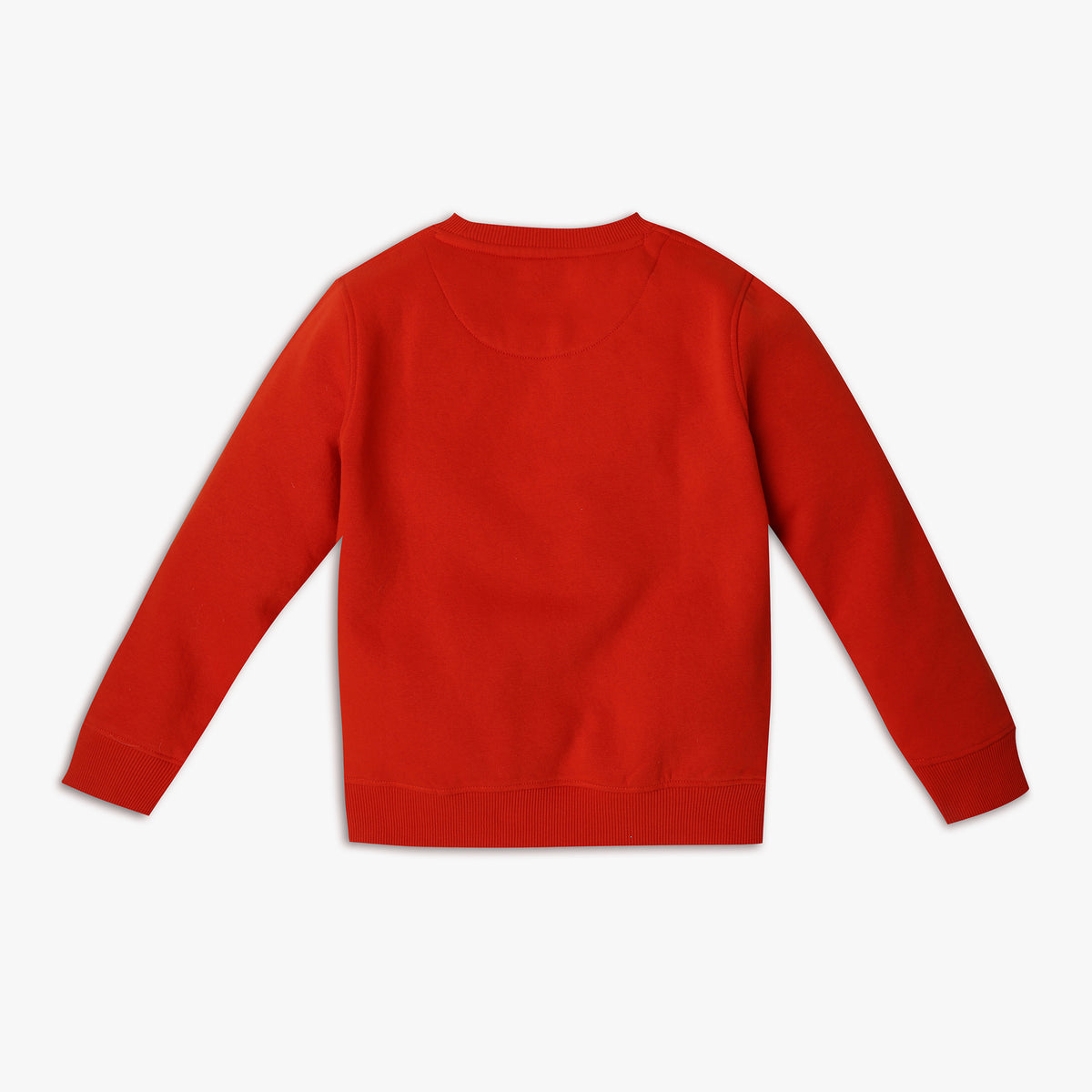 Boy's Regular Fit Graphic Sweat Tees