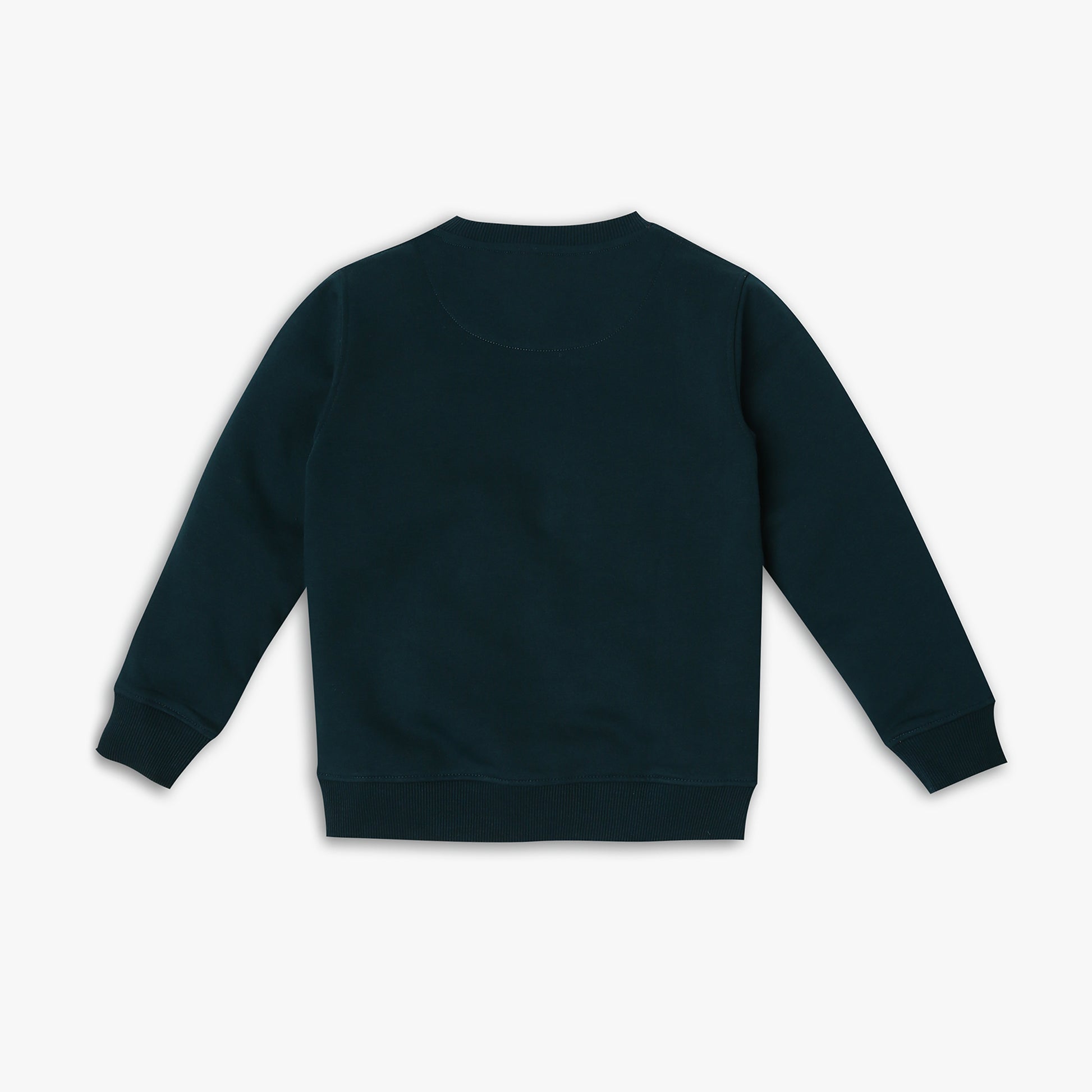 Boy's Regular Fit Graphic Sweat Tees