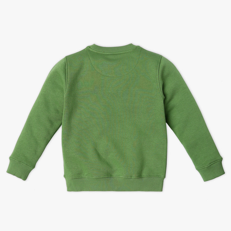 Boy's Regular Fit Printed Sweat Tees