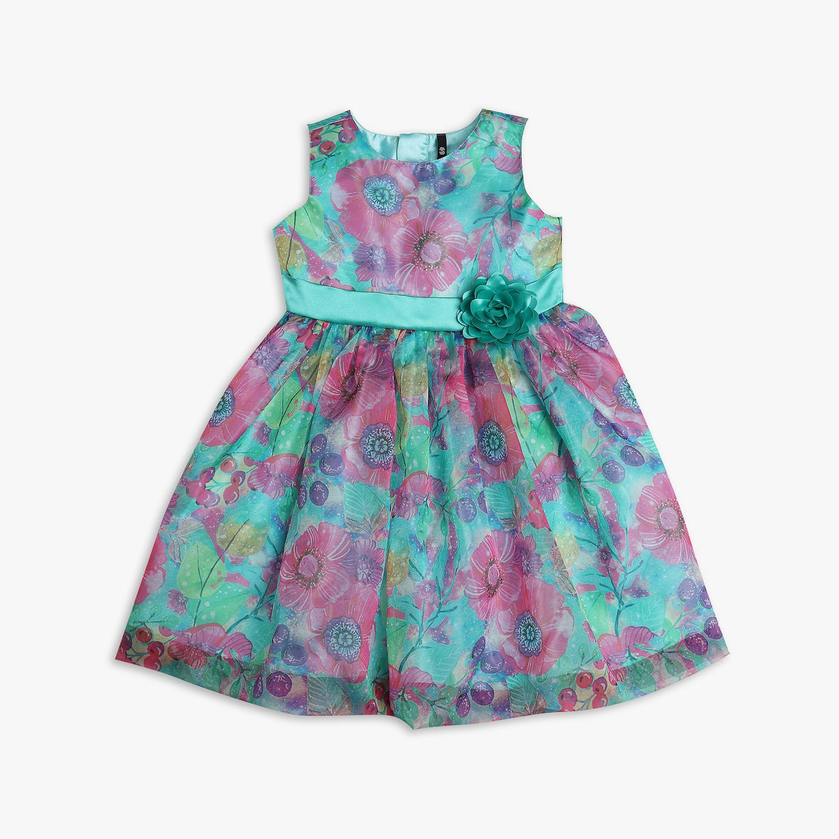 Girls Regular Fit Printed Frock