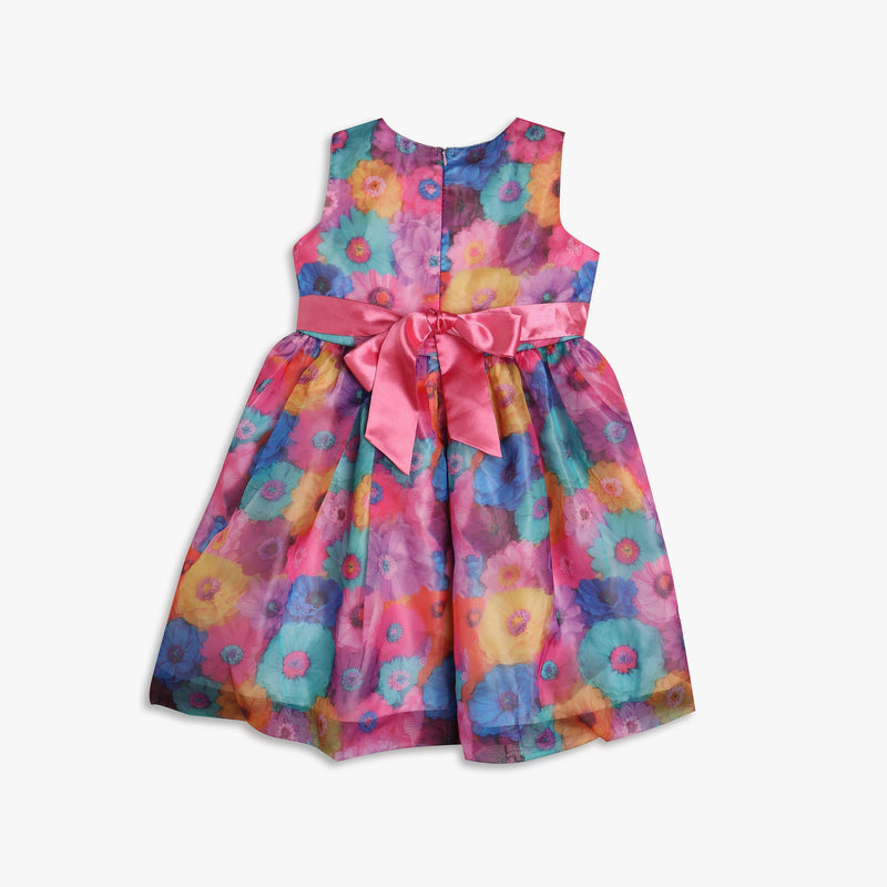 Girls Regular Fit Printed Frock