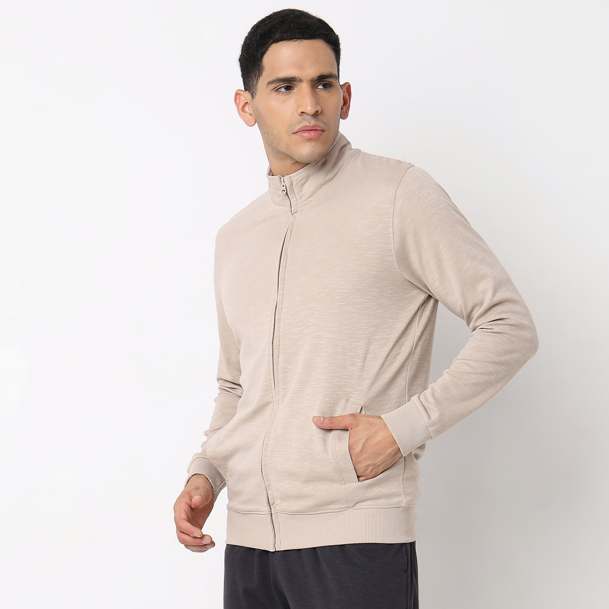 Regular Fit Solid Sweatshirt