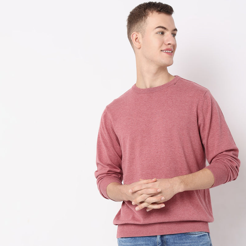 Regular Fit Solid Sweater