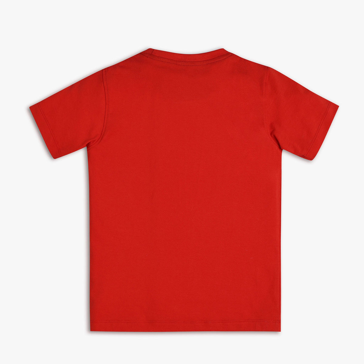 Boy Wearing Boy's Regular Fit Graphic T-Shirt