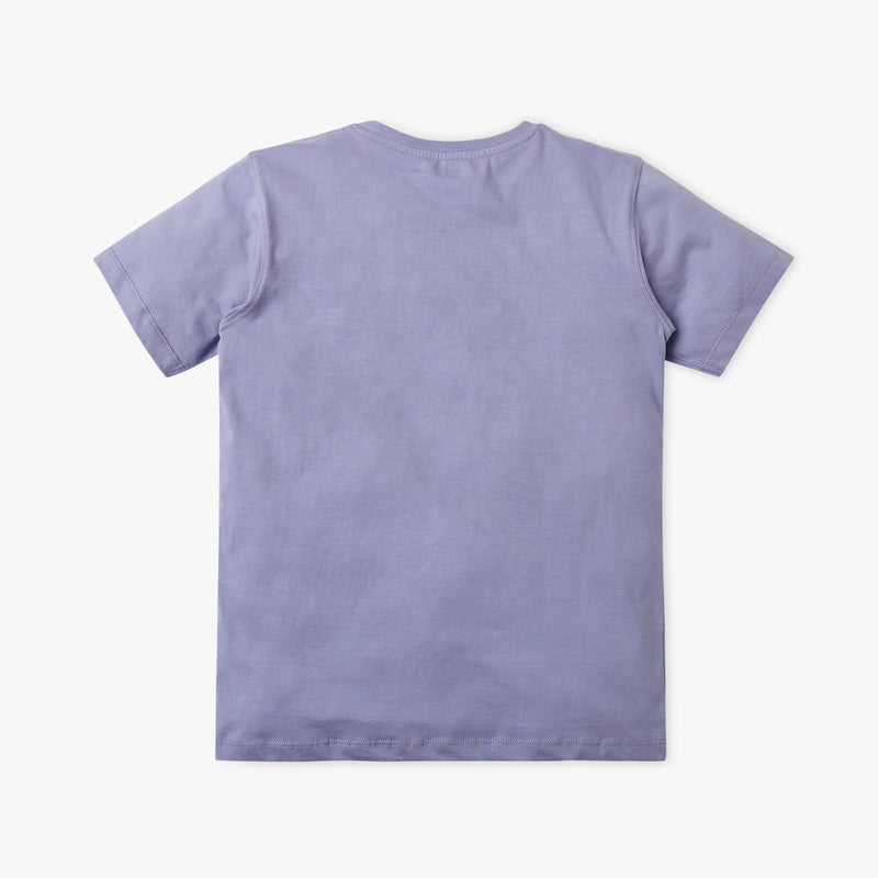 Boy's Regular Fit Graphic T-Shirt