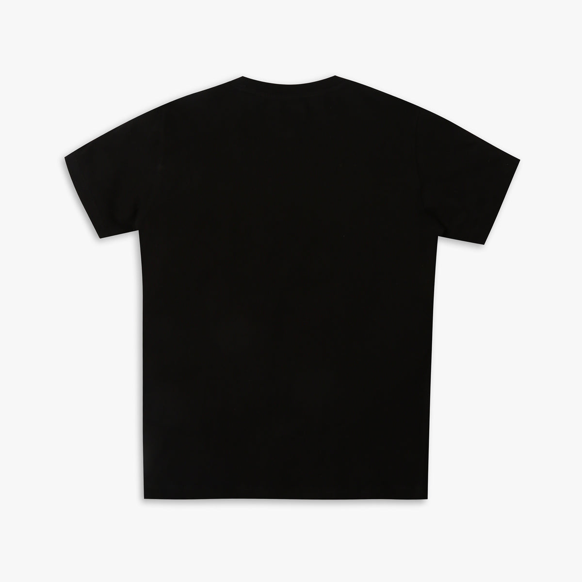 Boy's Regular Fit Graphic T-Shirt