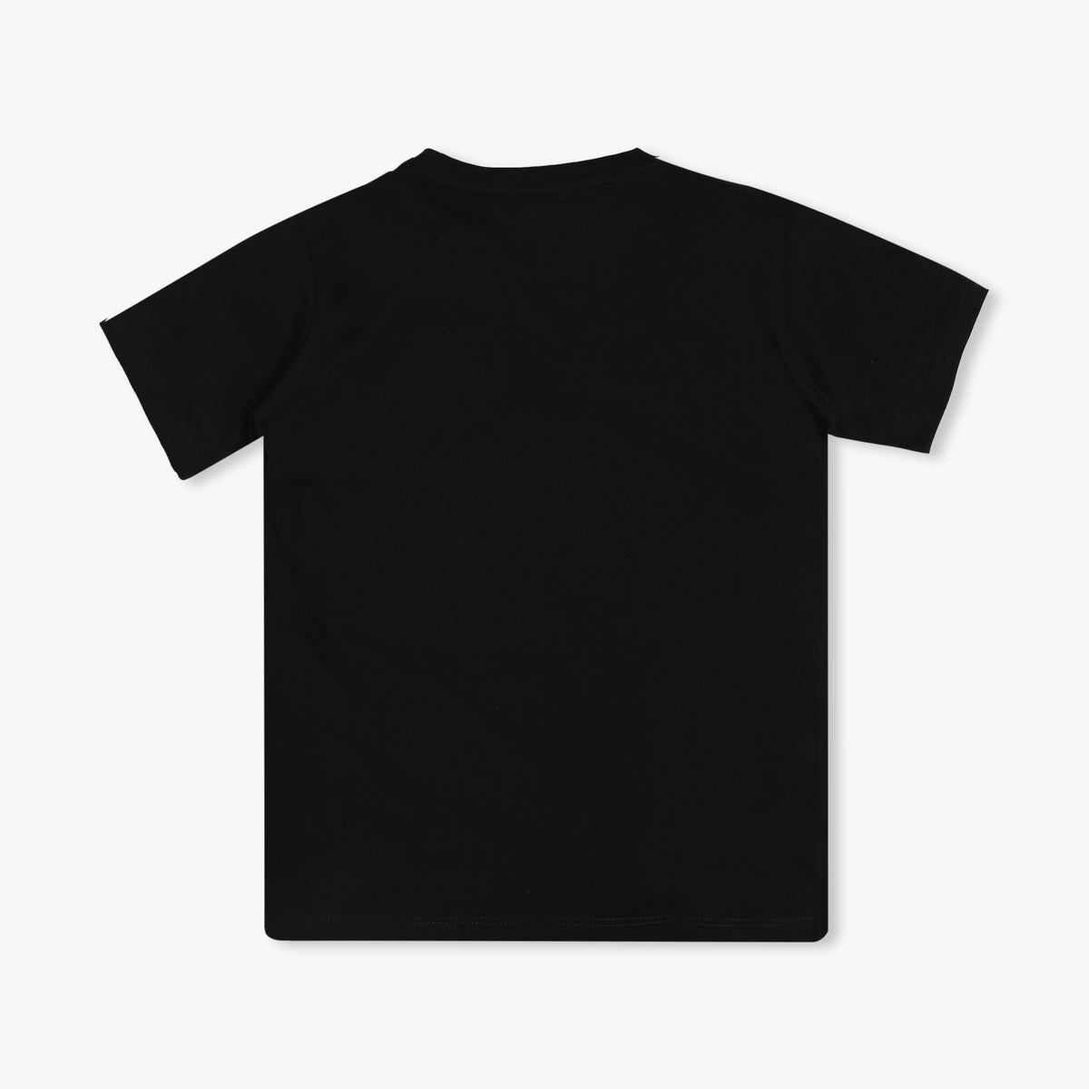 Boy's Regular Fit Graphic T-Shirt