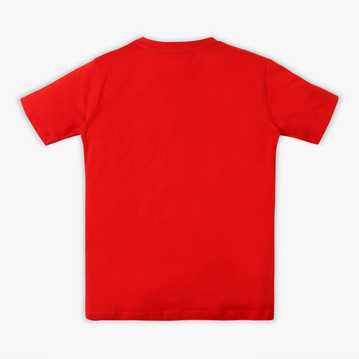 Boy's Regular Fit Graphic T-Shirt