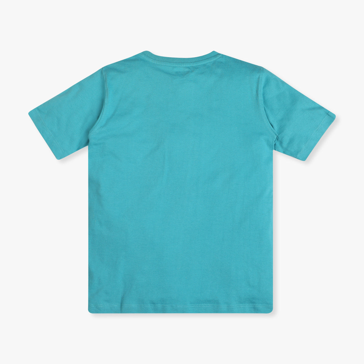 Boy's Regular Fit Graphic T-Shirt