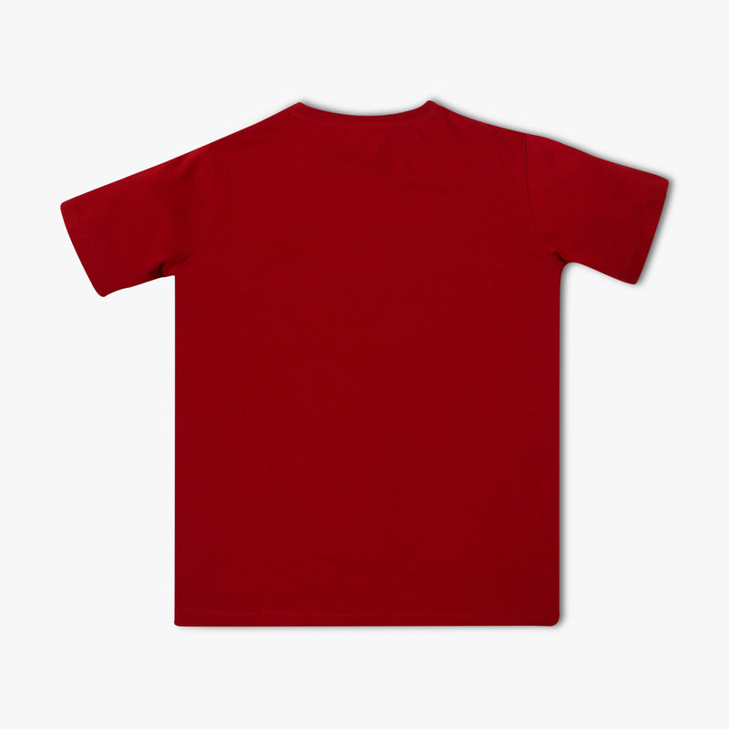 Boy's Regular Fit Graphic T-Shirt